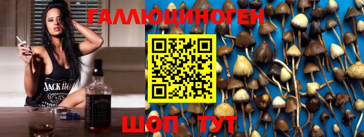 Галлюциногенные грибы GOLDEN TEACHER Саратов