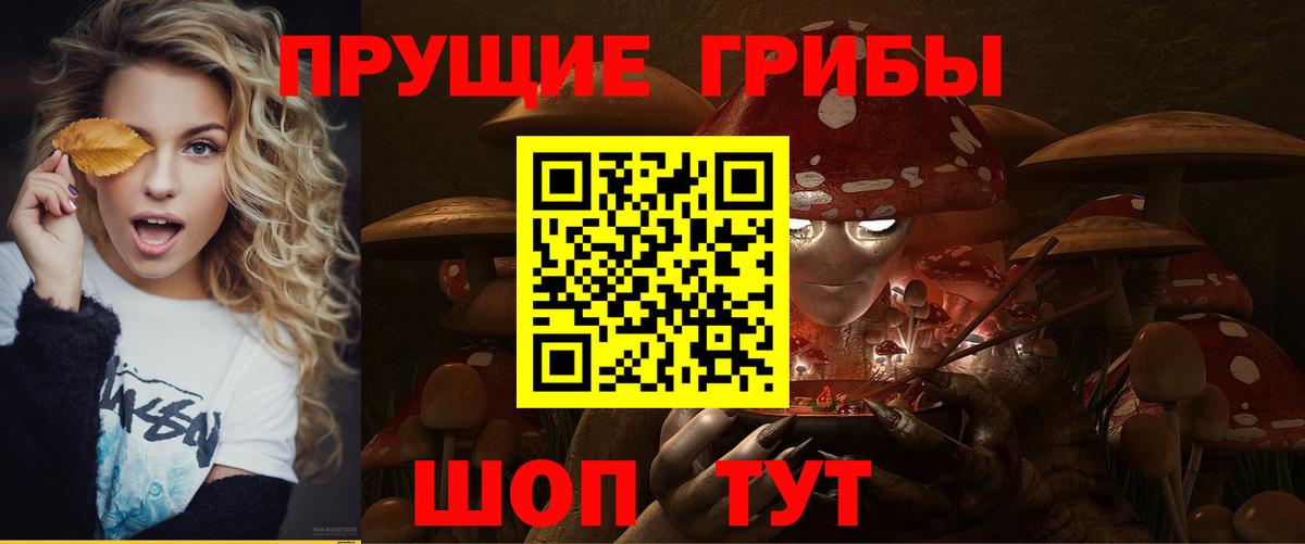Псилоцибиновые грибы GOLDEN TEACHER  Вход с VPN  Саратов 