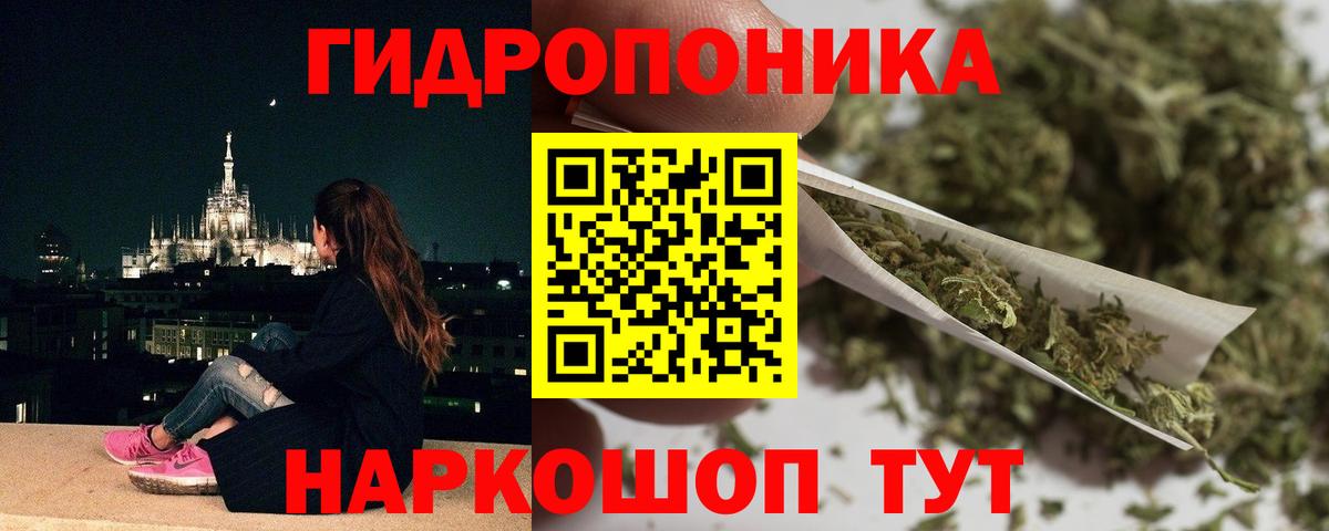 Канабис сатива Саратов